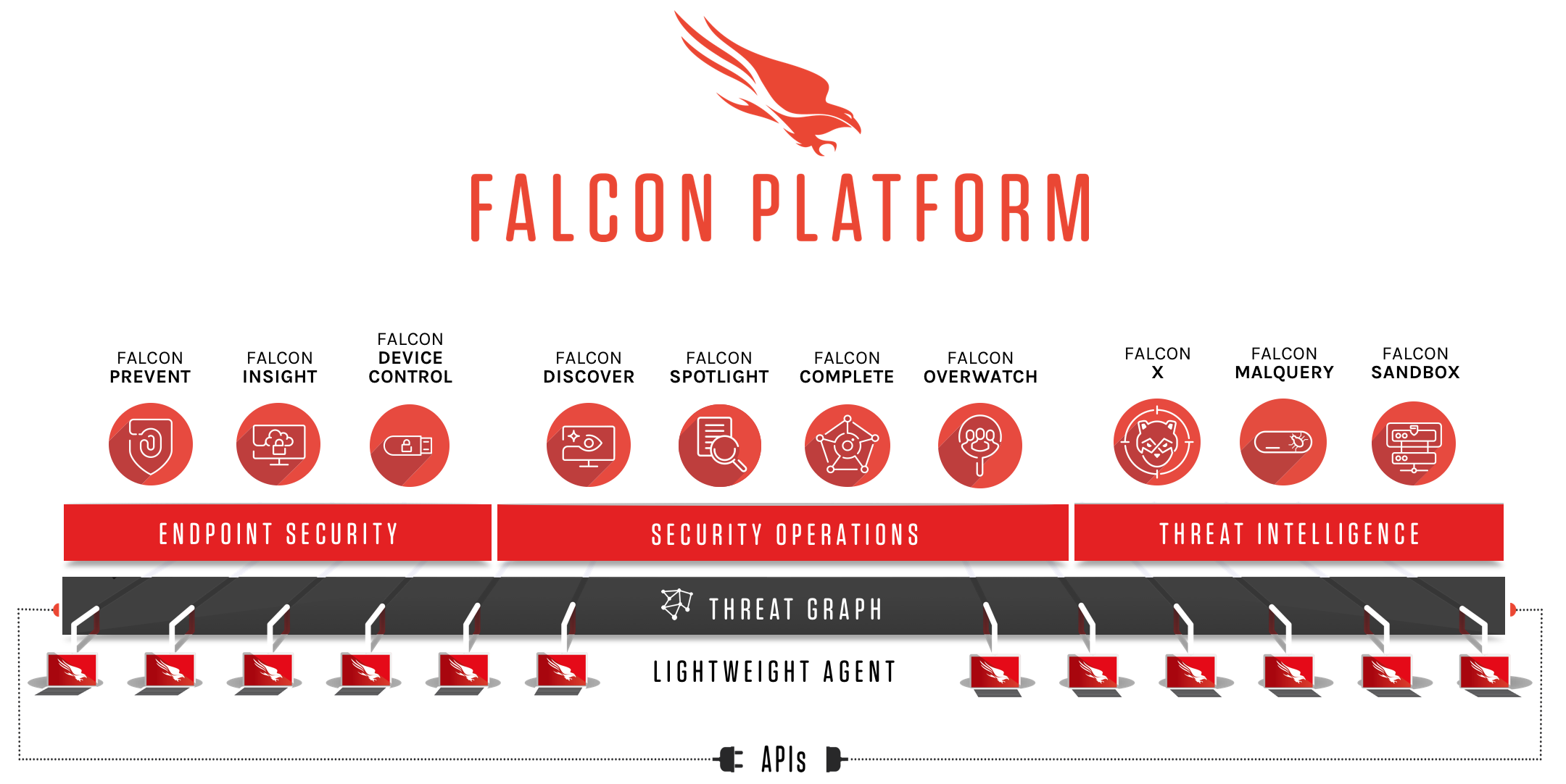 Falcon Platform Infographic