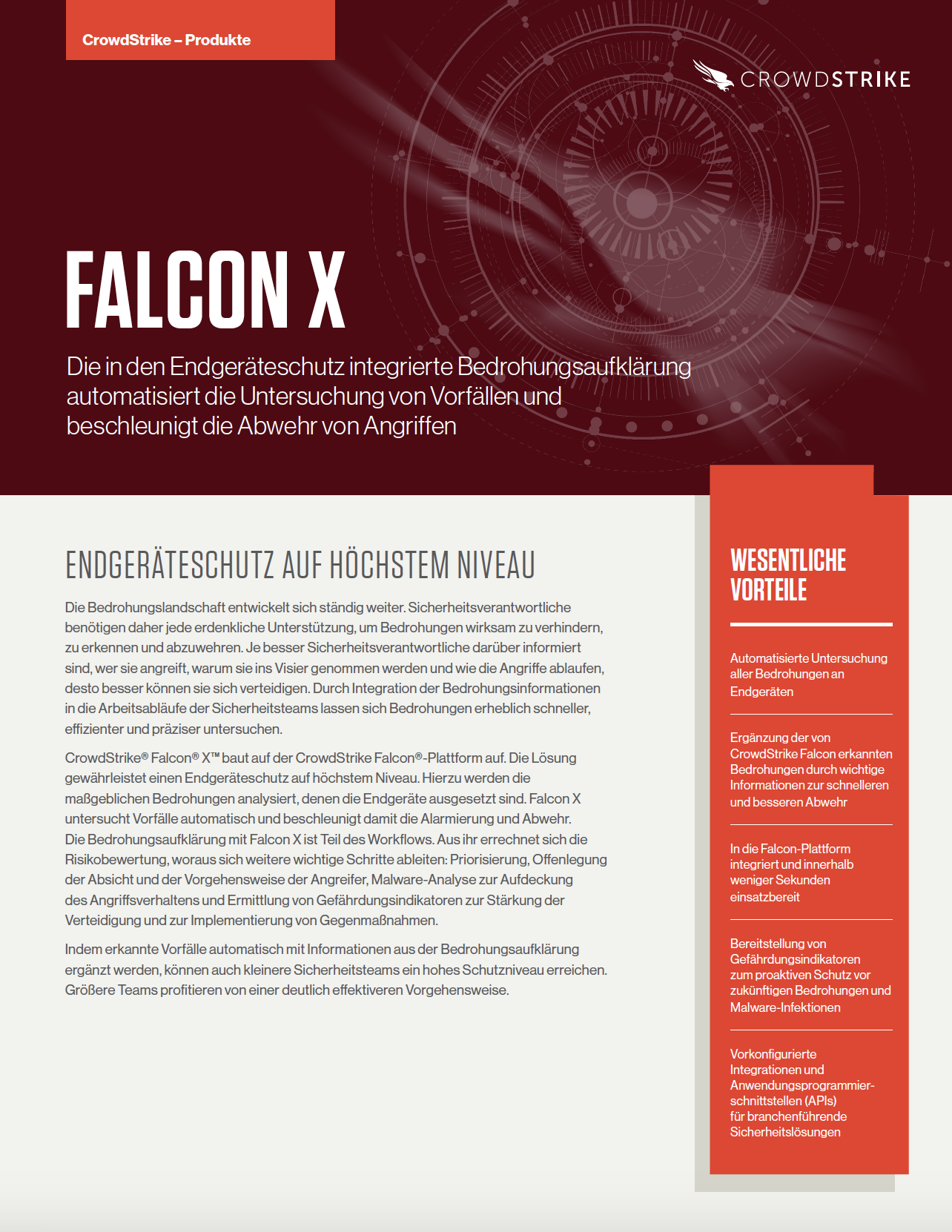 cover of falcon x datenblatt