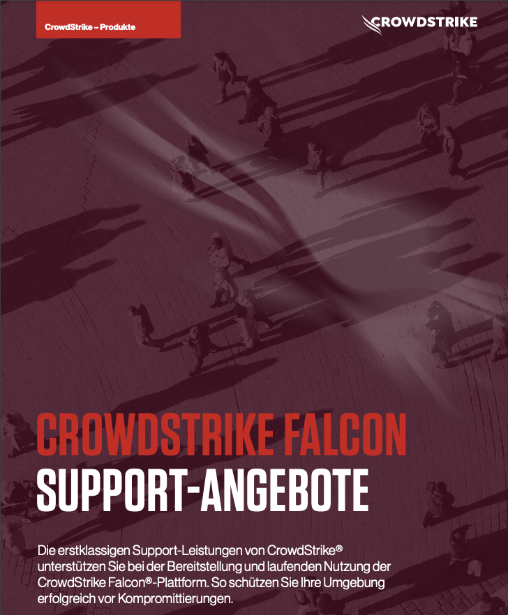Falcon Support Offerings DE